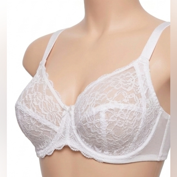 Hsia Other - Hsia 46DD White Lace Underwire Bra - Like New / EUC